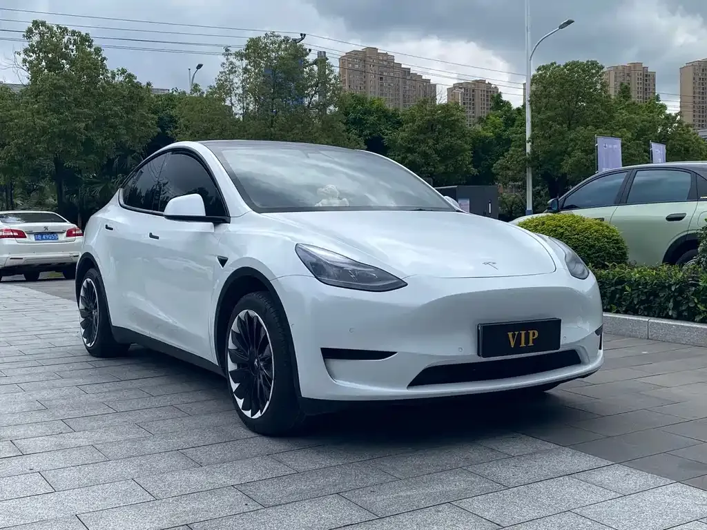 Tesla Model Y — фото 3