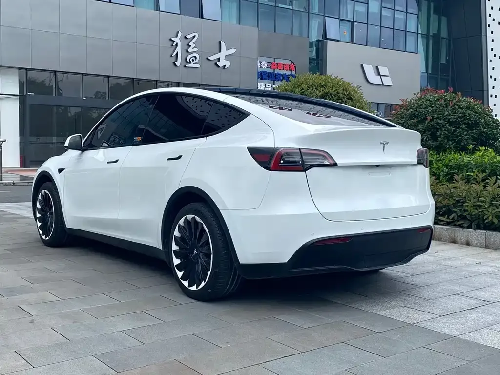 Tesla Model Y — фото 5