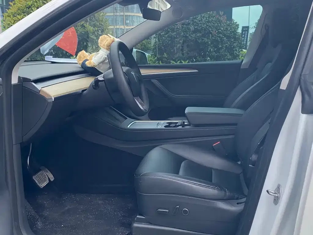 Tesla Model Y — фото 10