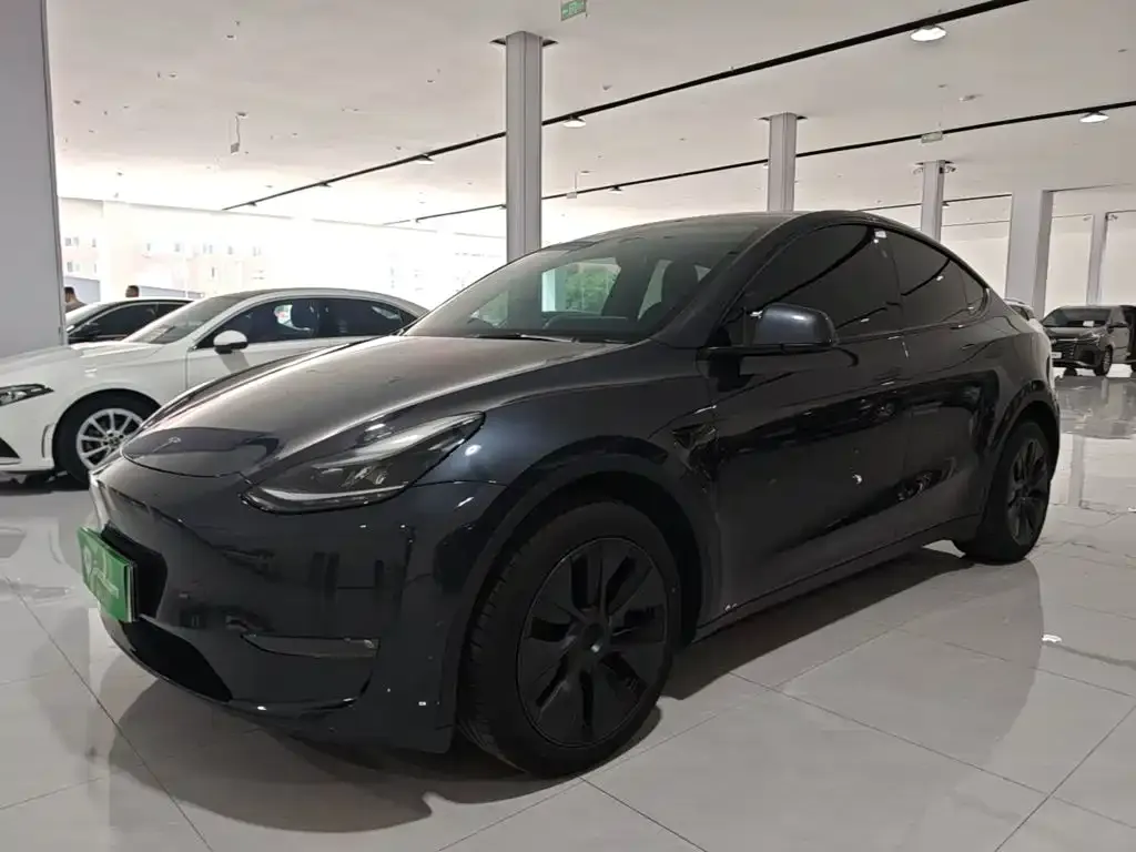 Tesla Model Y — фото 1