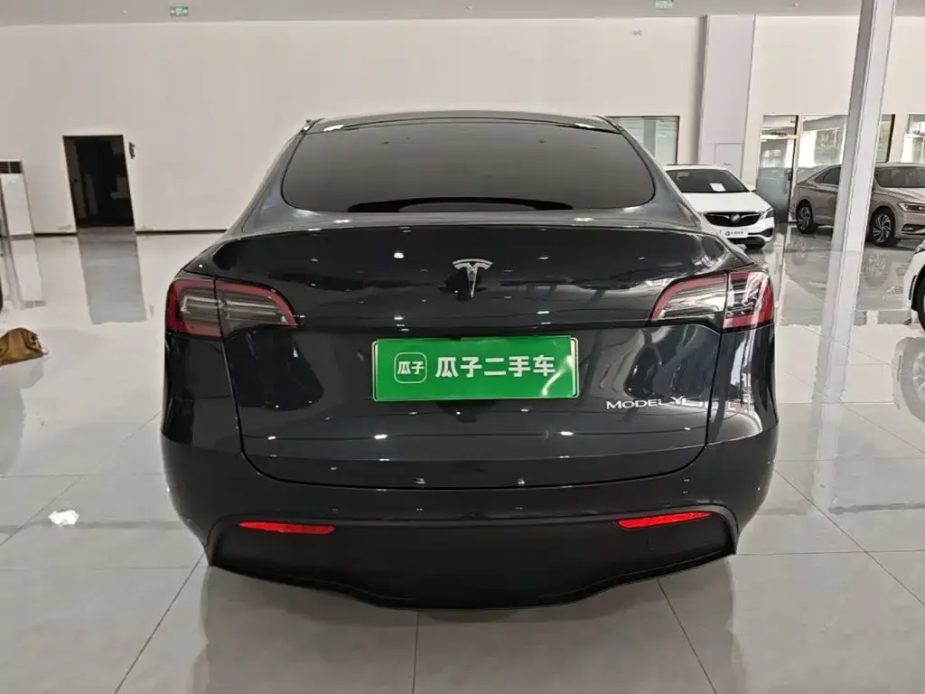 Tesla Model Y — фото 3
