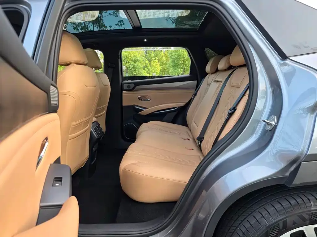 BYD L DM-i — фото 2