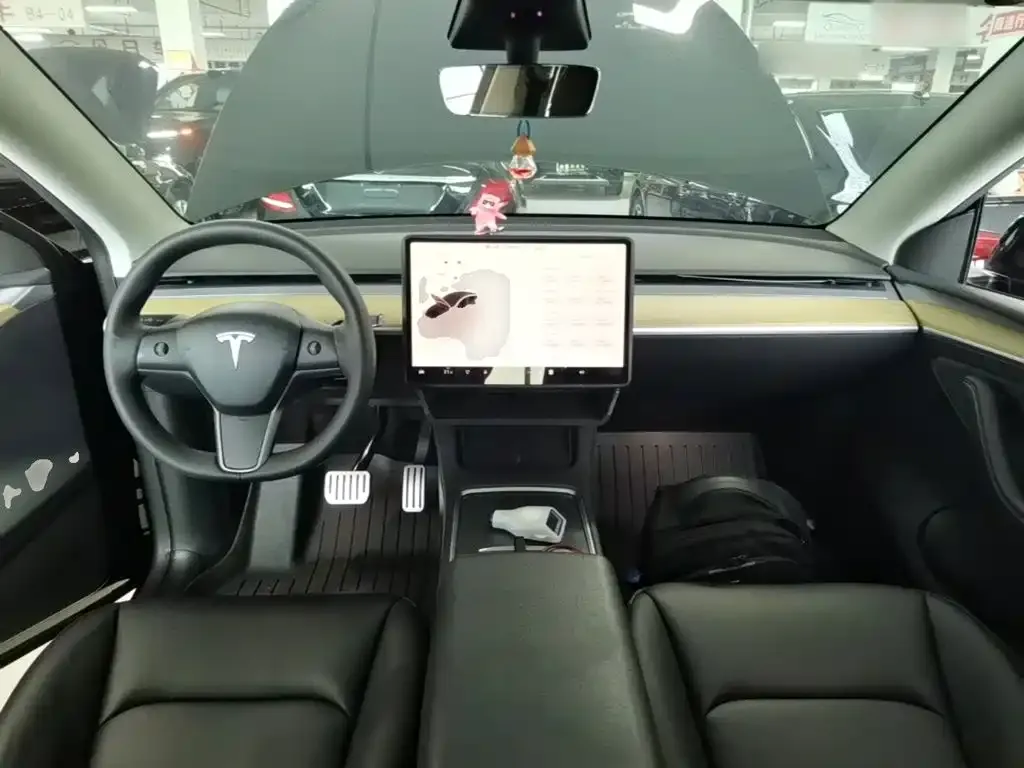 Tesla Model Y — фото 9