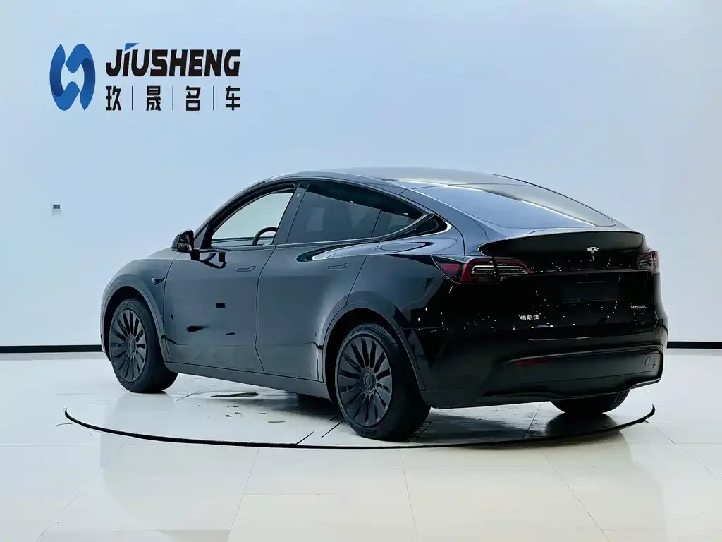 Tesla Model Y — фото 10