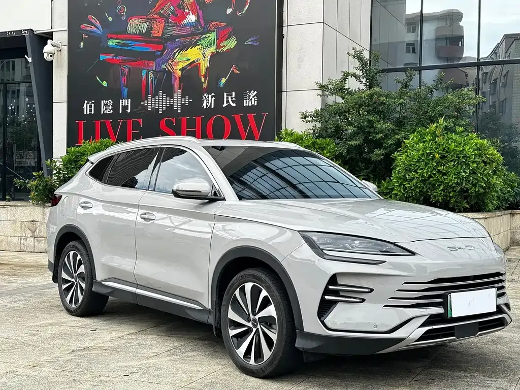 BYD PLUS New Energy — фото 8