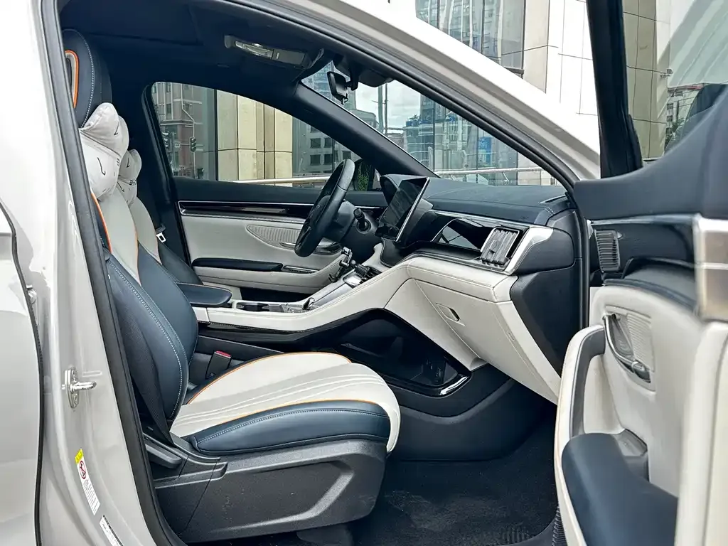 BYD PLUS New Energy — фото 3