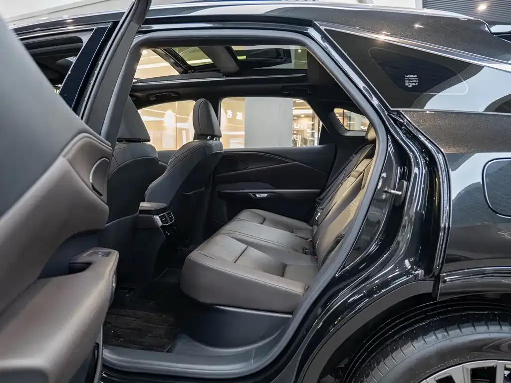 Lexus RX New Energy — фото 10