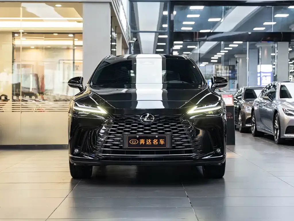 Lexus RX New Energy — фото 8