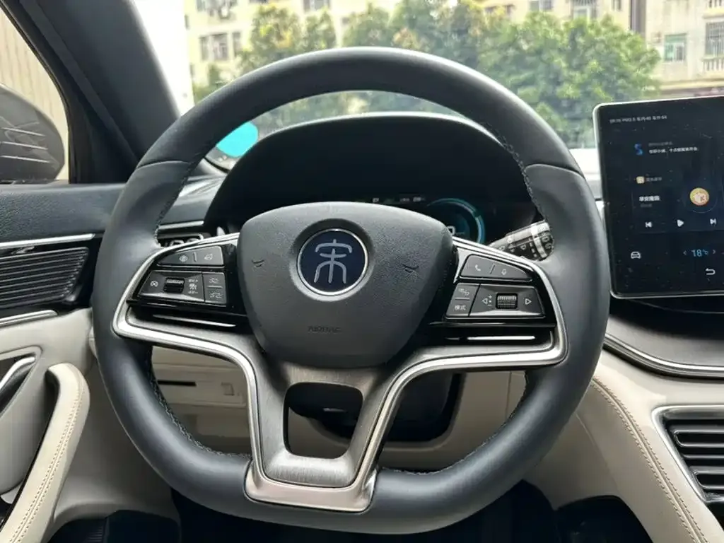 BYD PLUS New Energy — фото 3