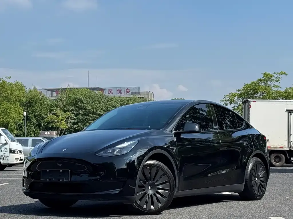 Tesla Model Y — фото 1