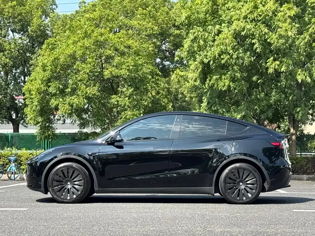Tesla Model Y — фото 10