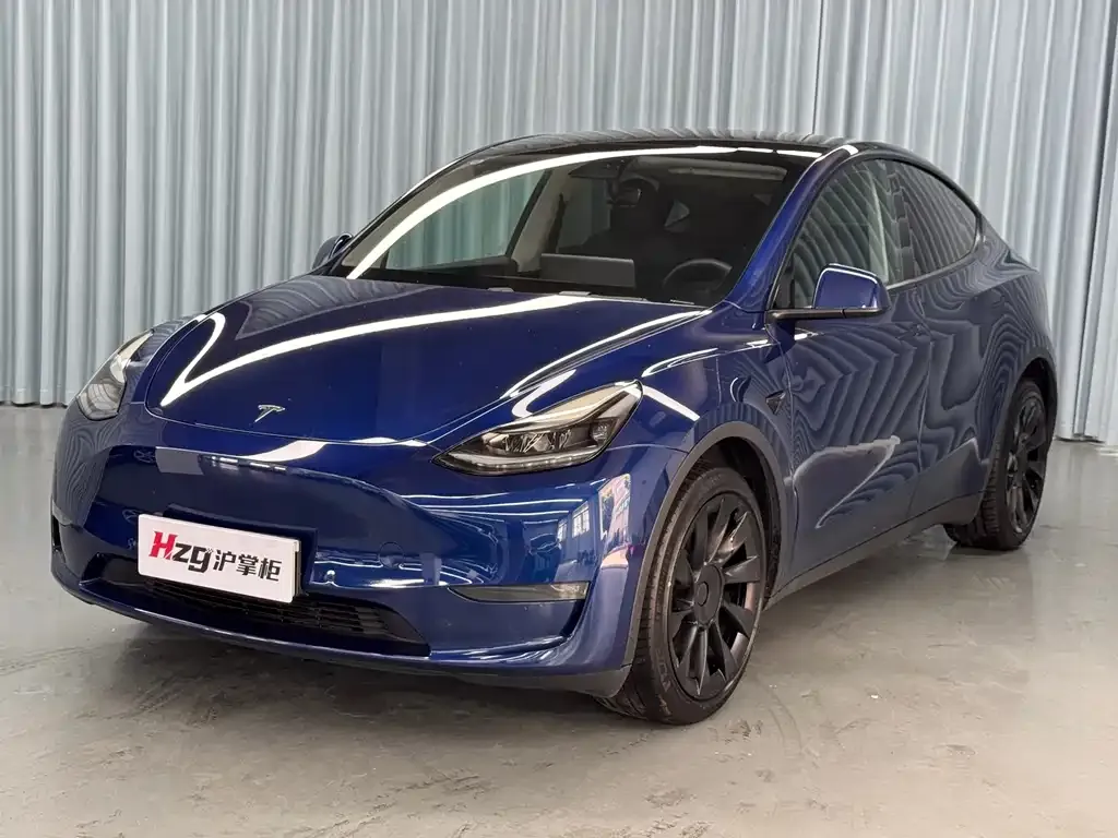 Tesla Model Y — фото 1