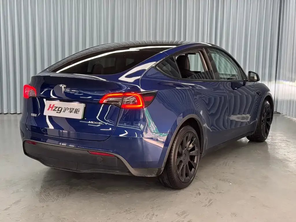 Tesla Model Y — фото 4