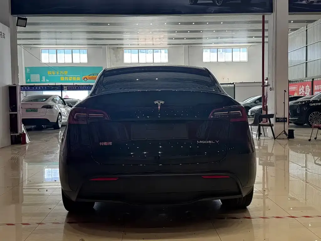 Tesla Model Y — фото 5