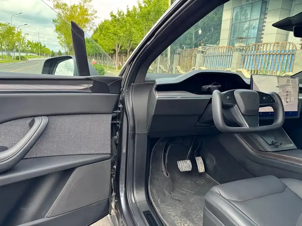 Tesla Model X — фото 10
