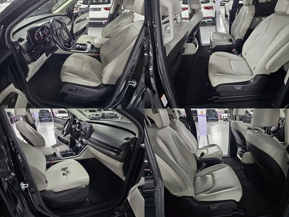 Kia Carnival — фото 10