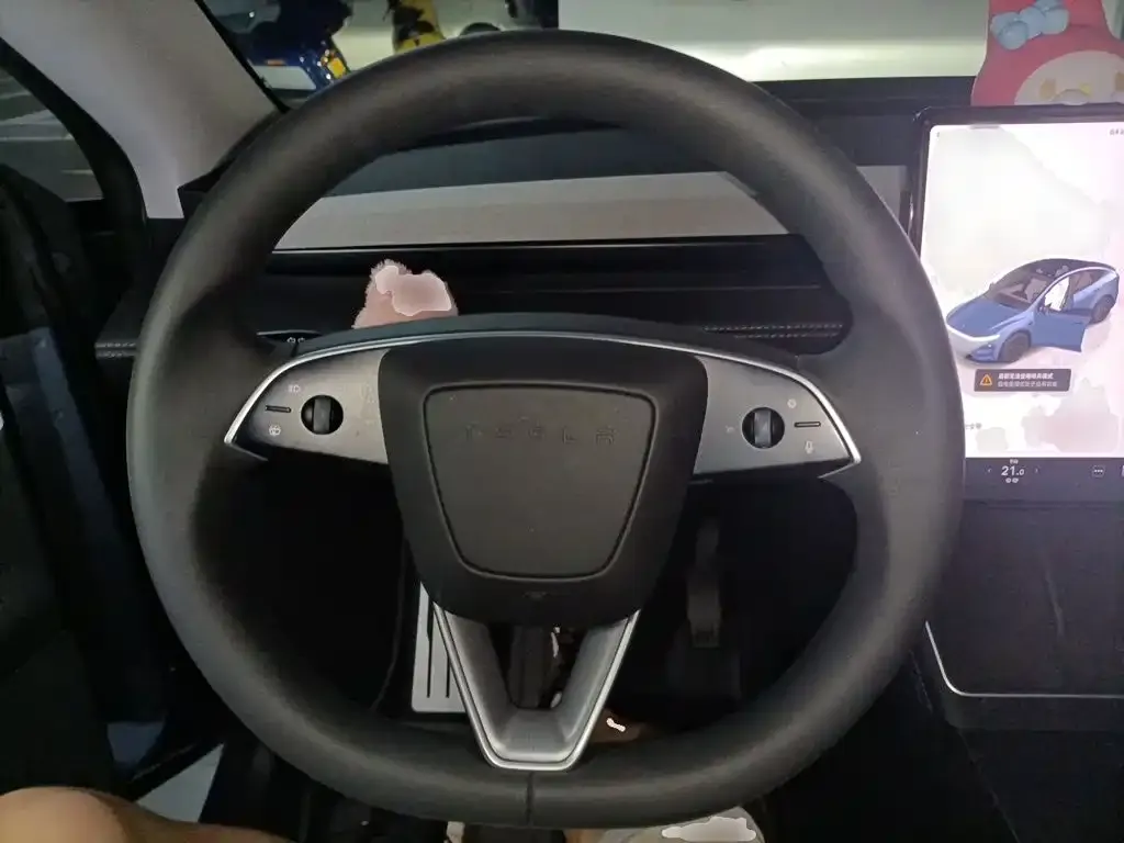 Tesla Model Y — фото 10