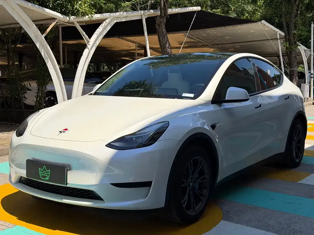 Tesla Model Y — фото 1
