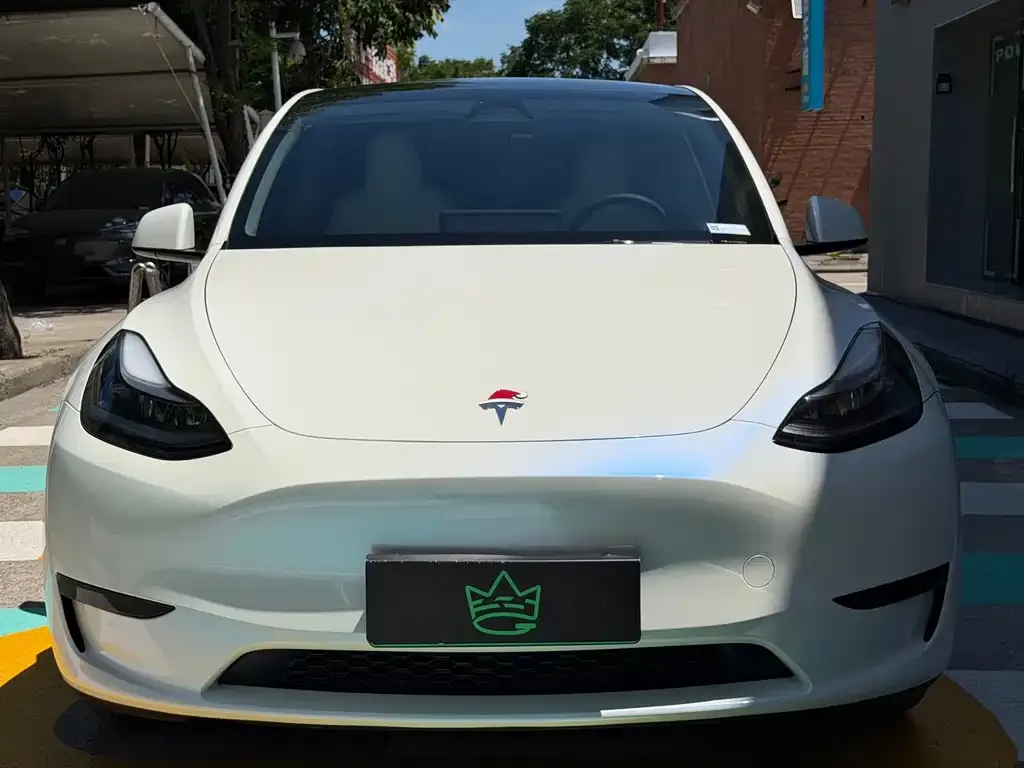 Tesla Model Y — фото 6