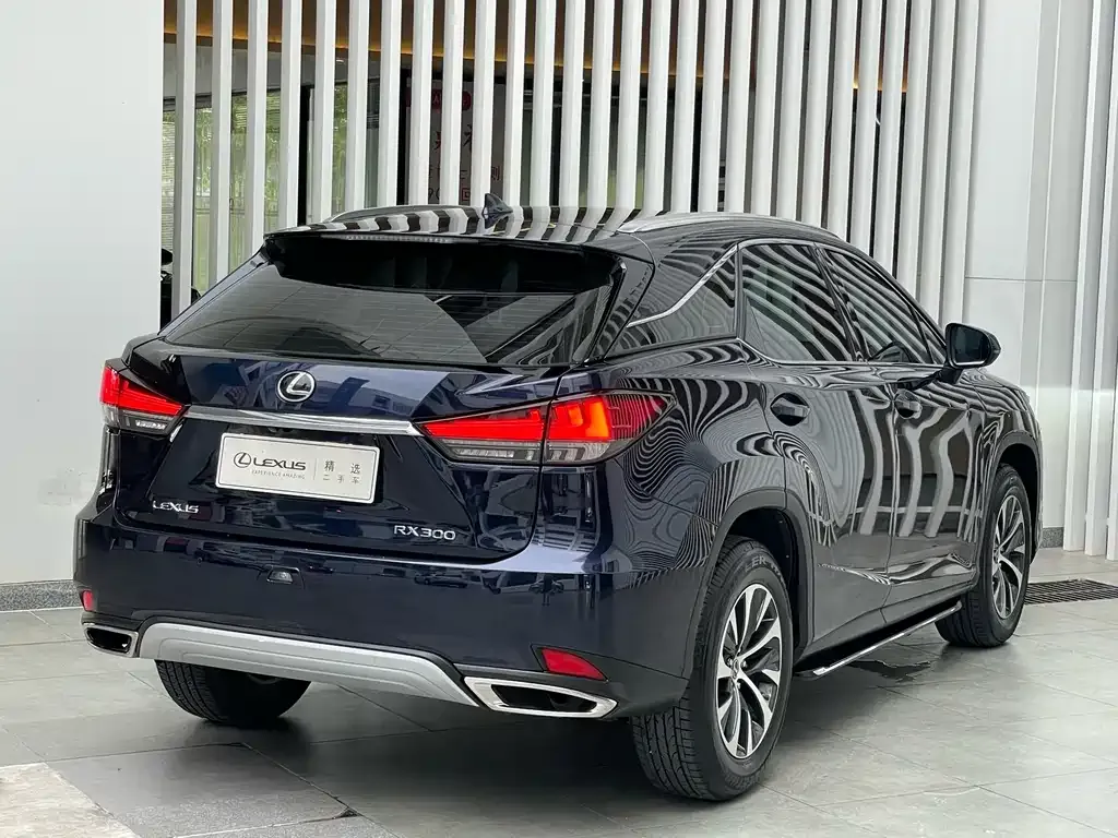 Lexus RX — фото 9