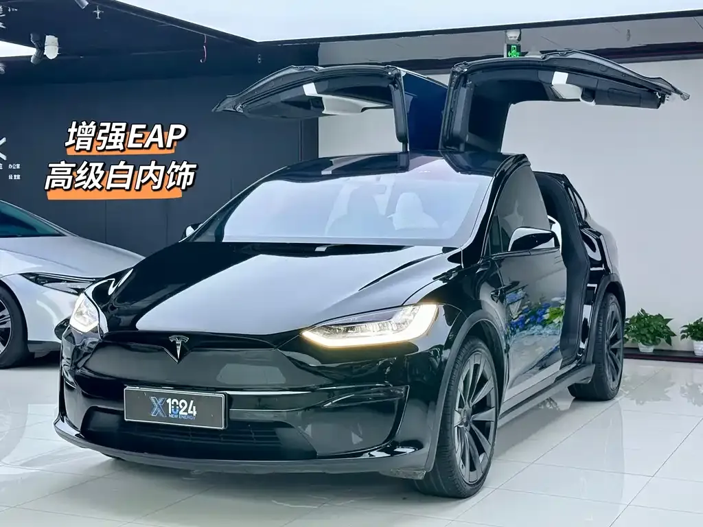 Tesla Model X — фото 1