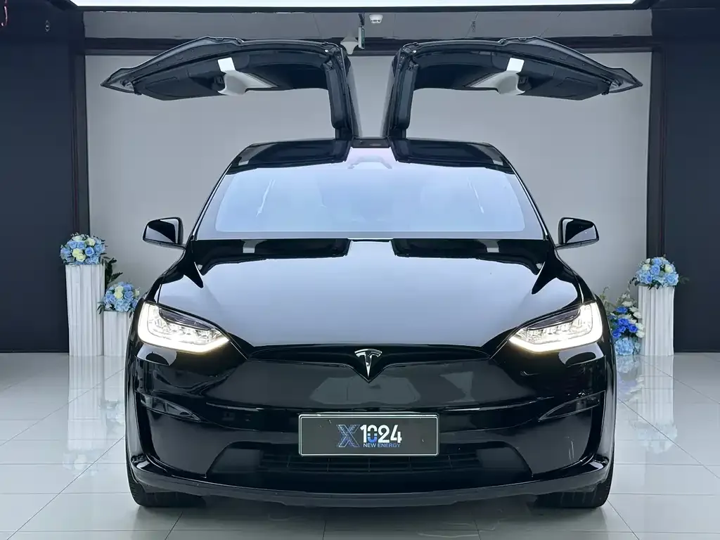 Tesla Model X — фото 7