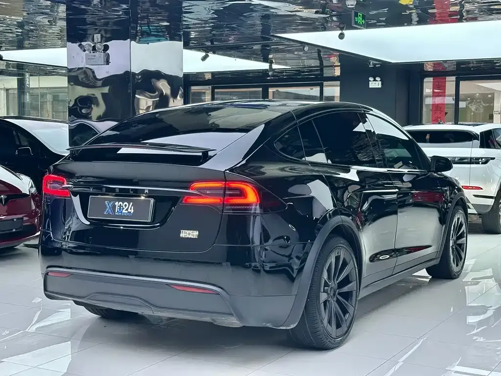 Tesla Model X — фото 5