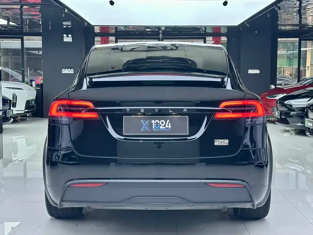 Tesla Model X — фото 9