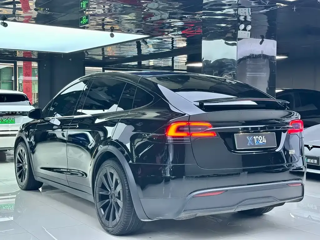 Tesla Model X — фото 6