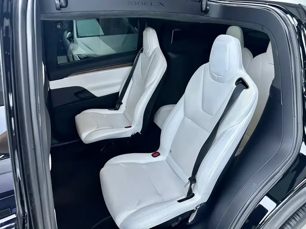 Tesla Model X — фото 8