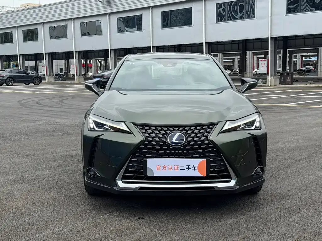 Lexus UX New Energy — фото 5