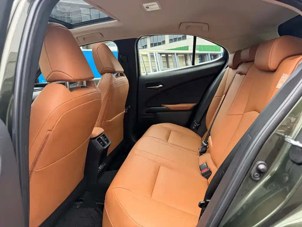 Lexus UX New Energy — фото 7