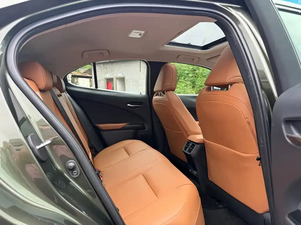 Lexus UX New Energy — фото 3