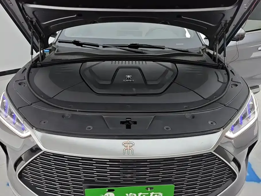 BYD PLUS New Energy — фото 8