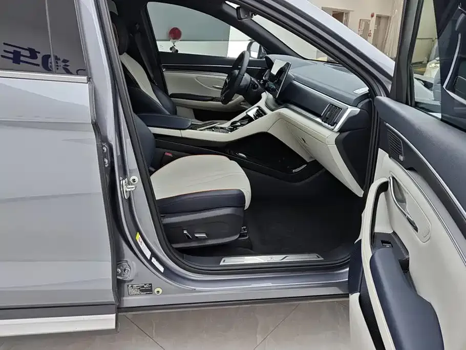 BYD PLUS New Energy — фото 4