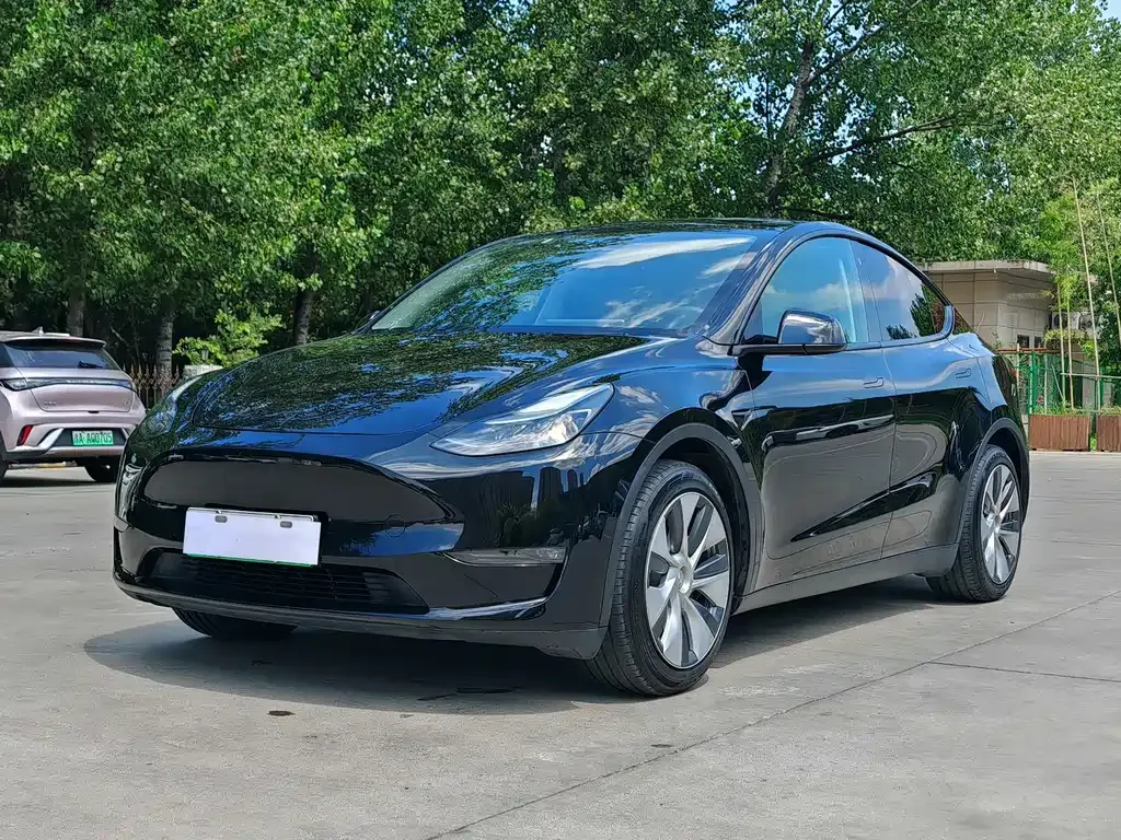 Tesla Model Y — фото 1