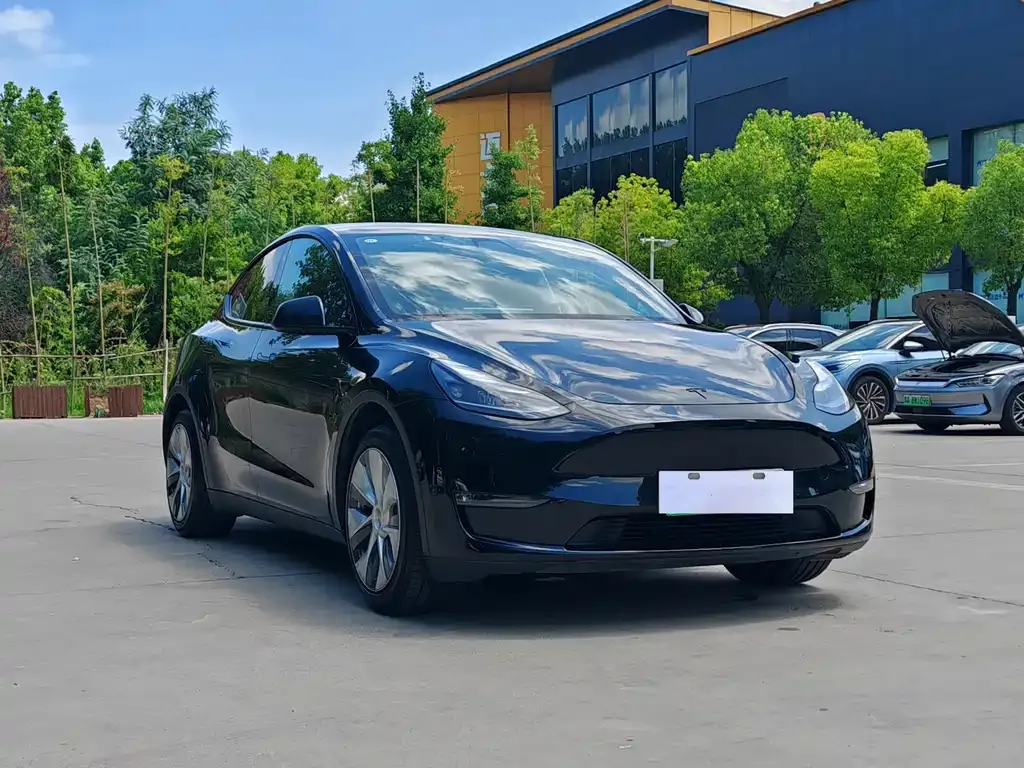 Tesla Model Y — фото 9
