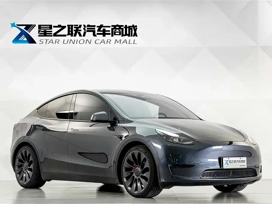 Tesla Model Y — фото 9