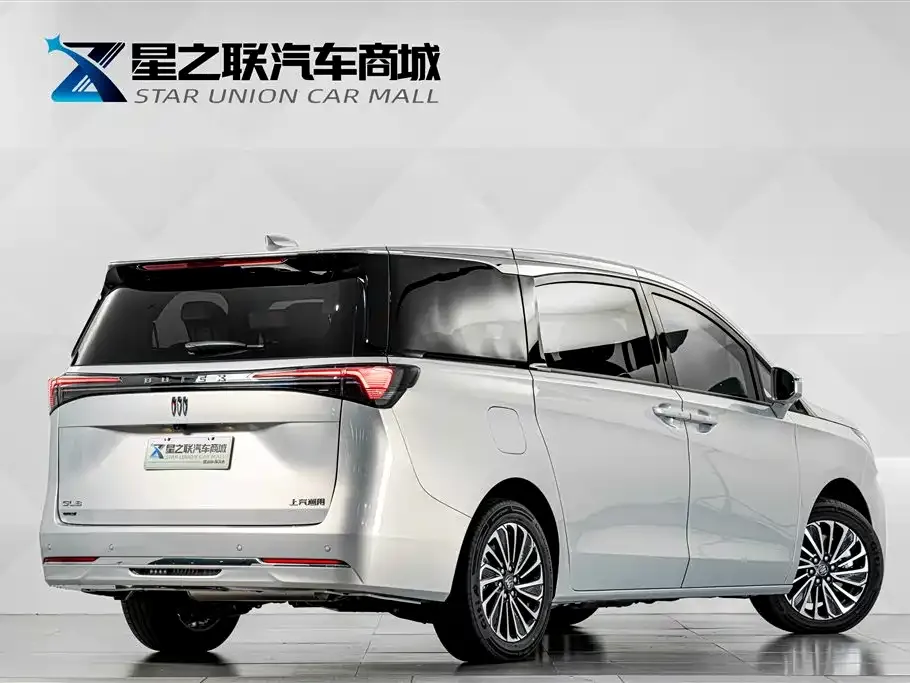 Buick GL8 Hybrid — фото 6
