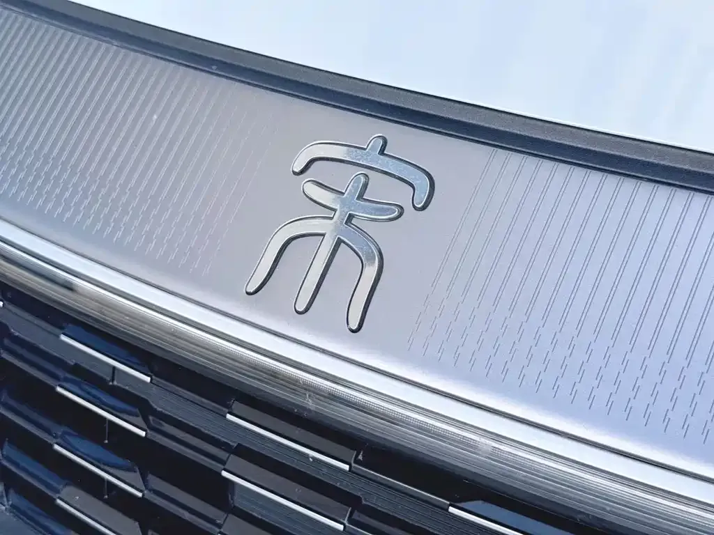 BYD L DM-i — фото 4