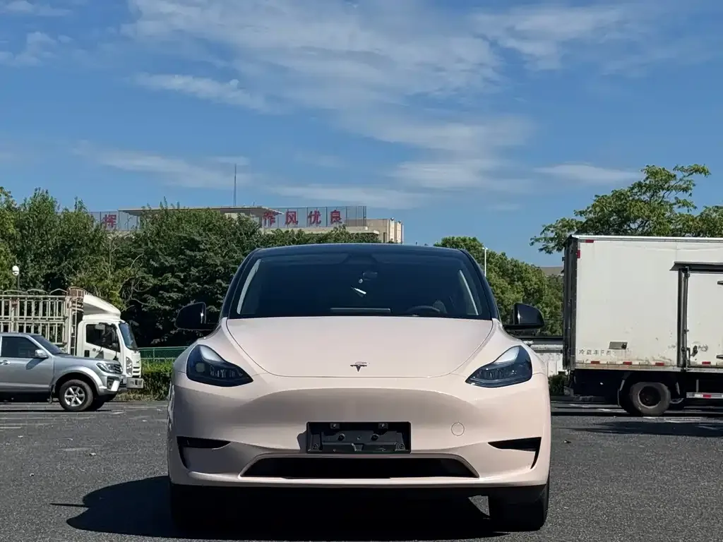 Tesla Model Y — фото 9