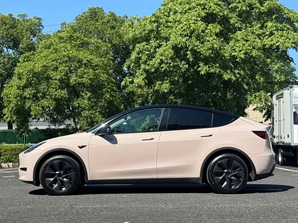 Tesla Model Y — фото 10