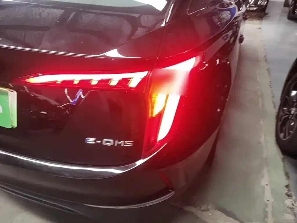 Hongqi E-QM5 — фото 9