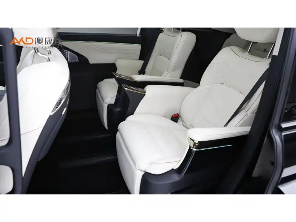 GAC Motor Trumpchi E9 — фото 3