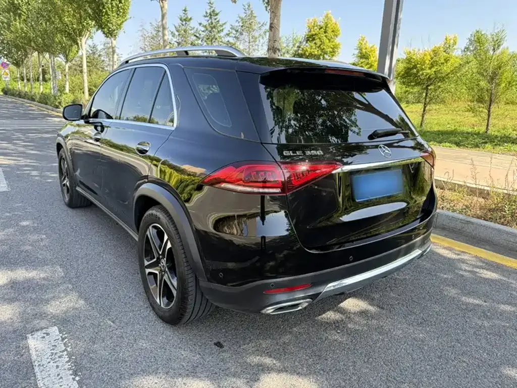 Mercedes-Benz 奔驰GLE(进口) — фото 10