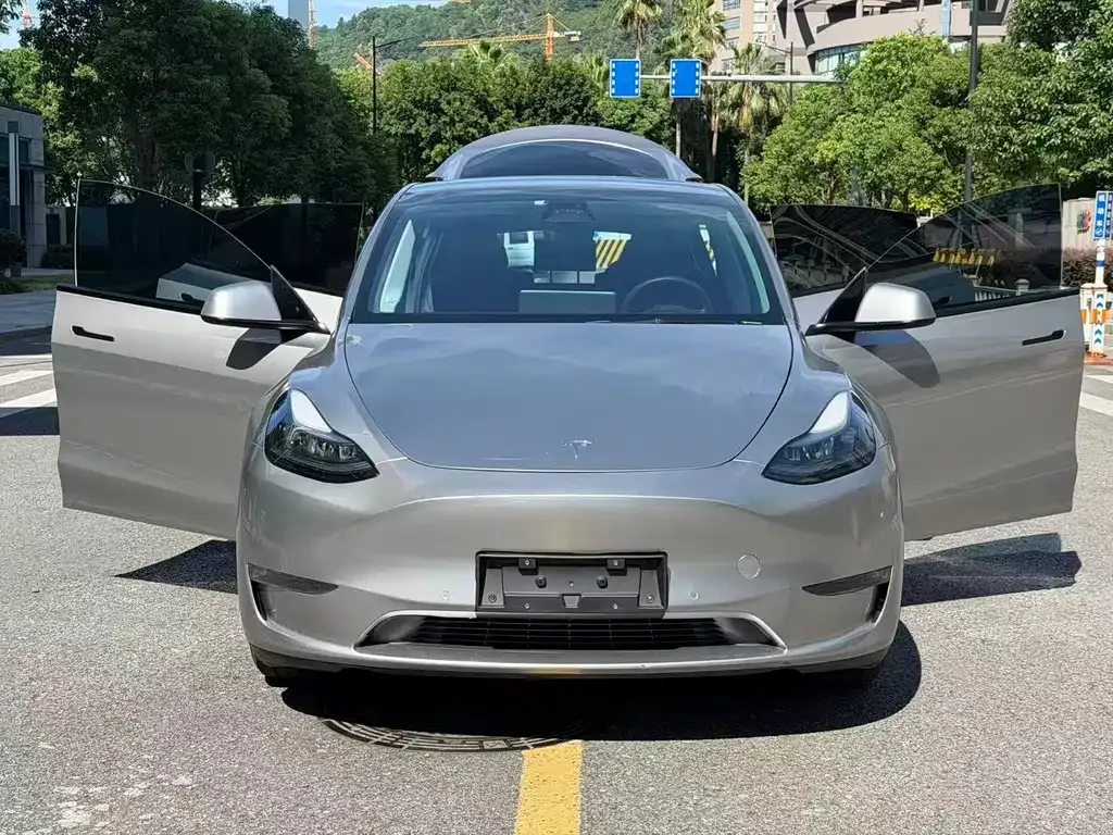 Tesla Model Y — фото 1