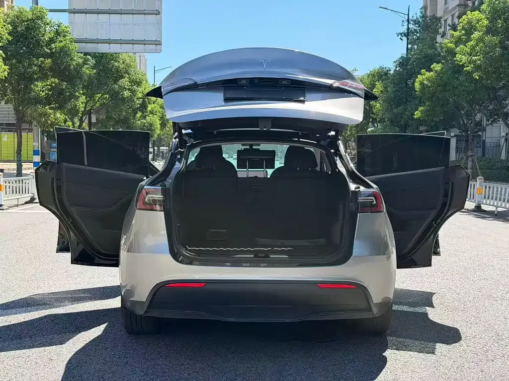 Tesla Model Y — фото 2