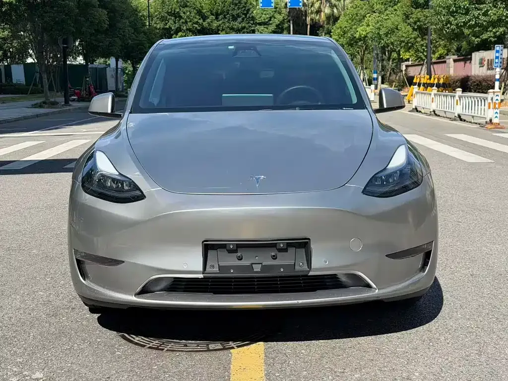Tesla Model Y — фото 8