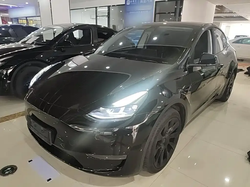 Tesla Model Y — фото 10