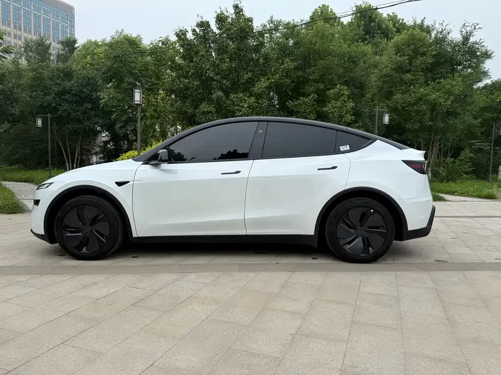 Tesla Model Y — фото 10